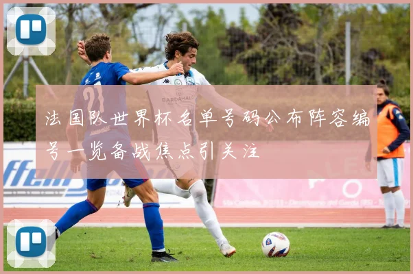 法国队世界杯名单号码公布阵容编号一览备战焦点引关注