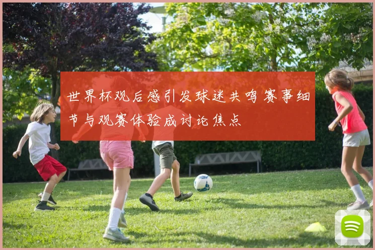 世界杯观后感引发球迷共鸣 赛事细节与观赛体验成讨论焦点