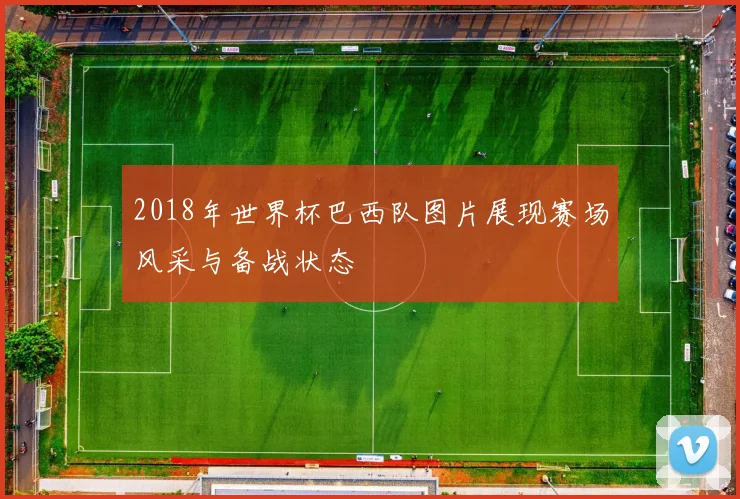 2018年世界杯巴西队图片展现赛场风采与备战状态