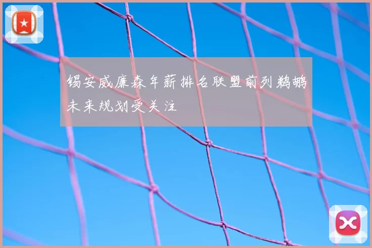锡安威廉森年薪排名联盟前列鹈鹕未来规划受关注