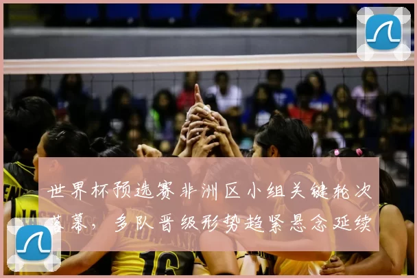 世界杯预选赛非洲区小组关键轮次落幕，多队晋级形势趋紧悬念延续
